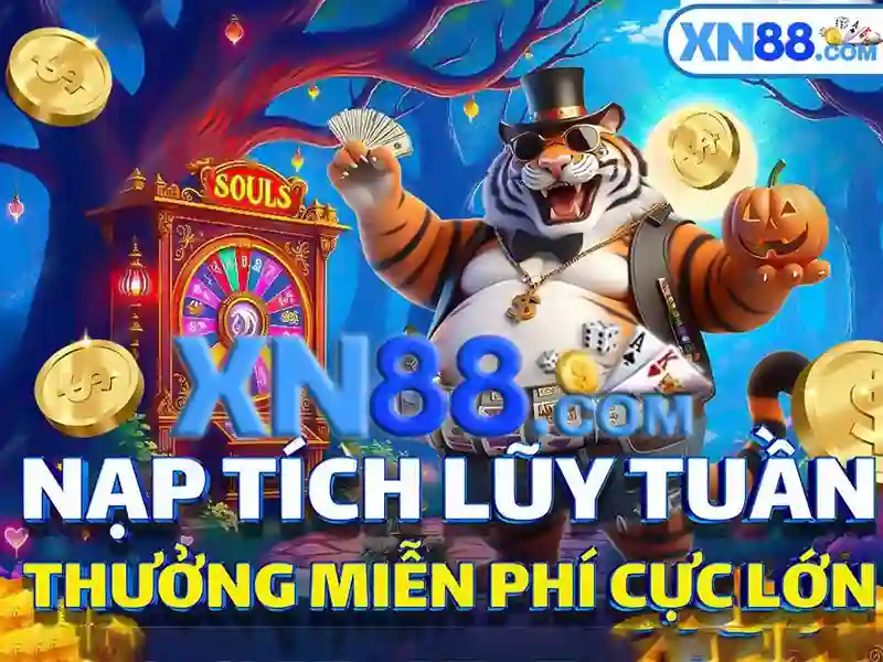 Trải nghiệm người dùng và phản hồi cộng đồng