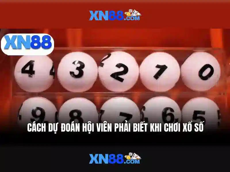 xn88 - Khám phá nền tảng cá cược trực tuyến