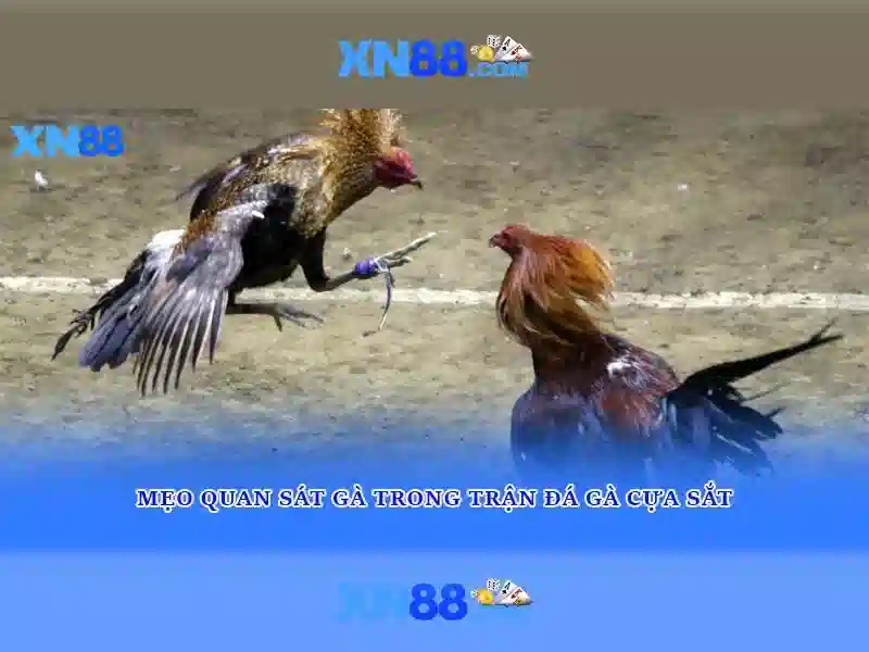 Cách nạp tiền và rút tiền an toàn trên xn88<h>Kết luận về xn88 và những lưu ý dành cho người chơi</h><p><span style=