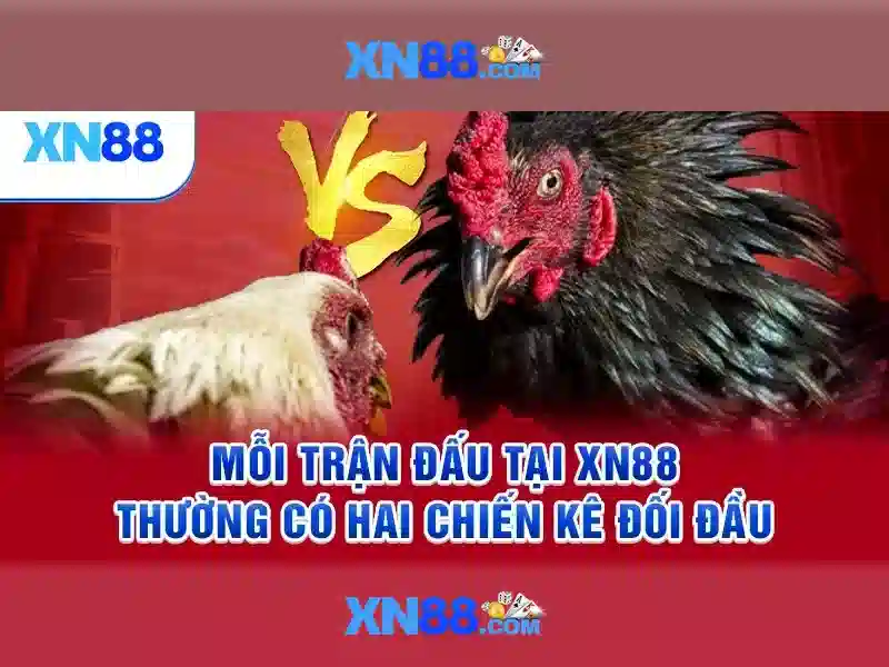 xn88: Hướng dẫn tổng quan về nền tảng