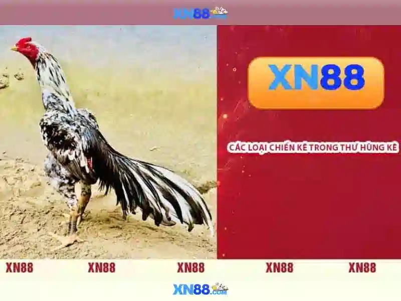 xn88. com: Trải nghiệm tổng thể với xn88 app