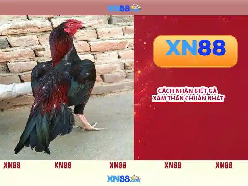 Nền tảng game trực tuyến và độ tin cậy
