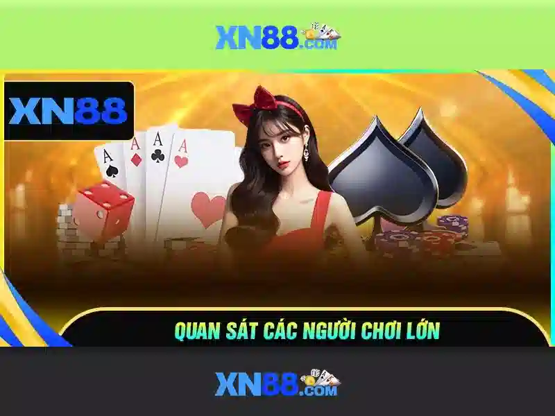 Kết luận về xn88