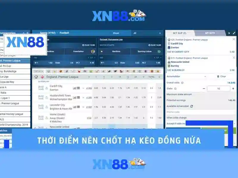 Khuyến mãi và chăm sóc khách hàng