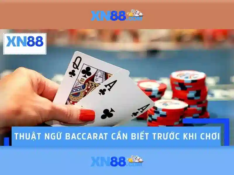 xn88 bet vip – tổng quan chủ đề và giá trị cốt lõi