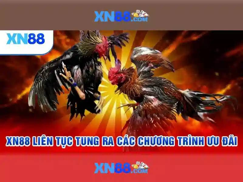Lợi thế cạnh tranh của đăng nhập xn88