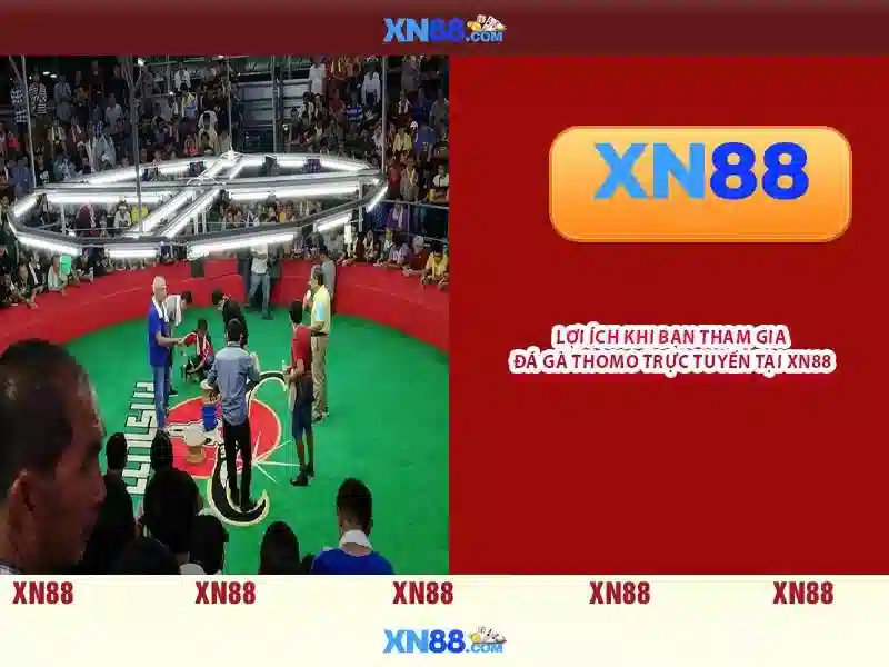 Giới thiệu về xn88