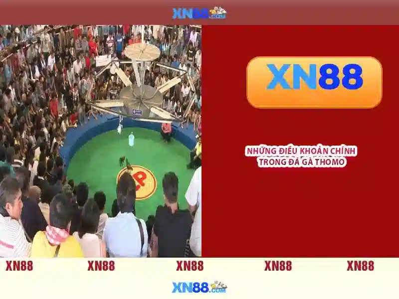  Nguồn gốc và sứ mệnh của xn88 jpn