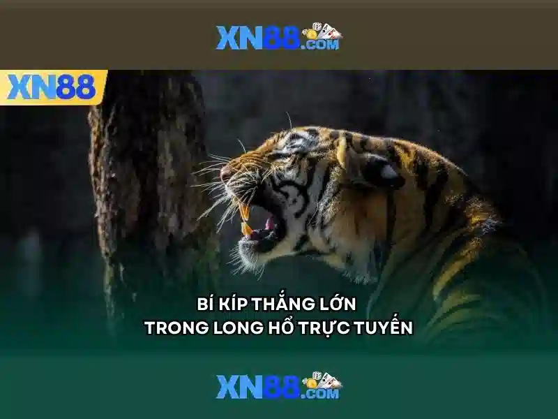 Giới thiệu về xn88