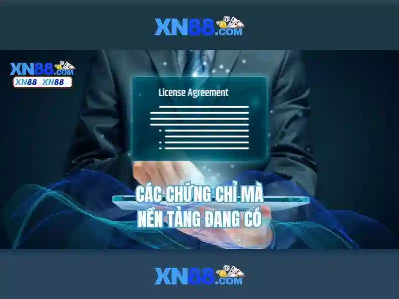 Trải nghiệm người dùng và phản hồi cộng đồng