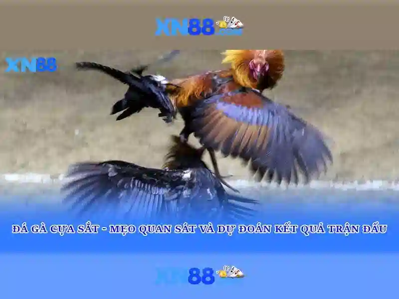 Mẹo chơi bắn cá 3 cây dễ ăn tiền nhà cái