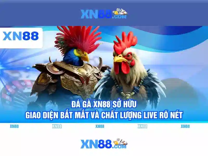 Tính năng nổi bật