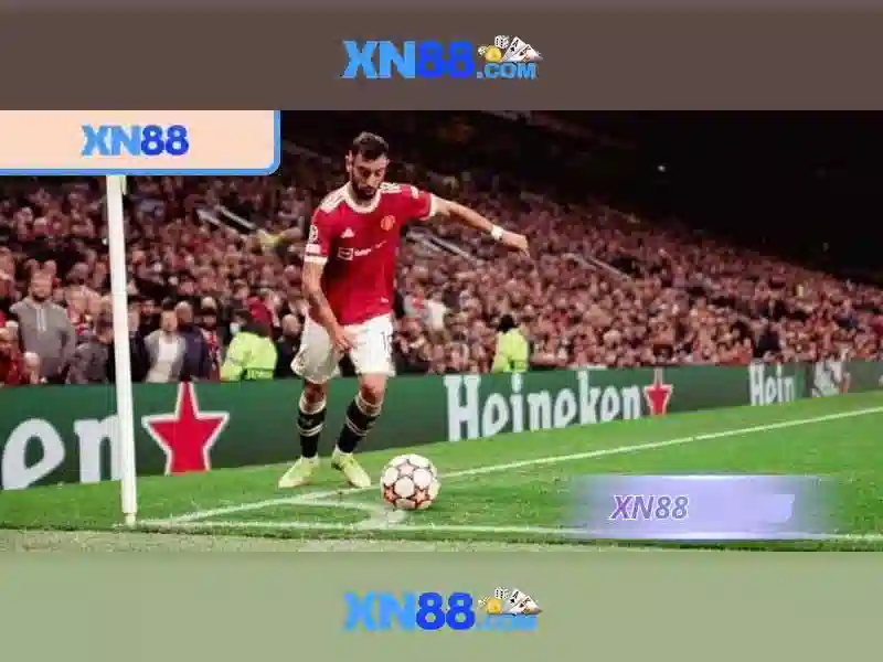 Tổng quan về xn88