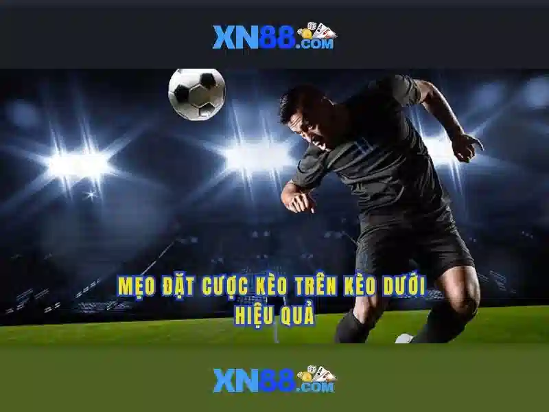 xn88: Khám phá nền tảng và cộng đồng