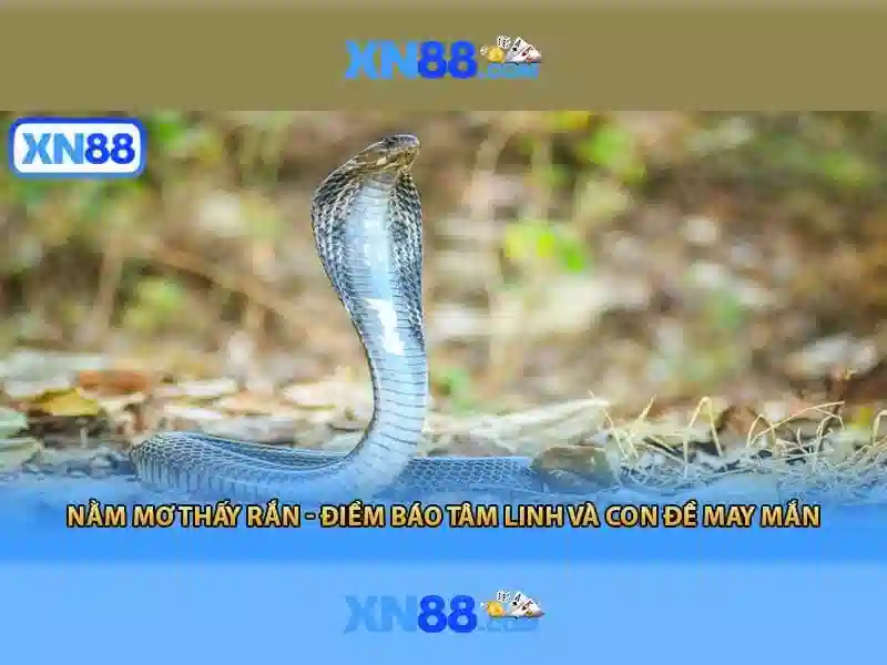 Giới thiệu về xn88