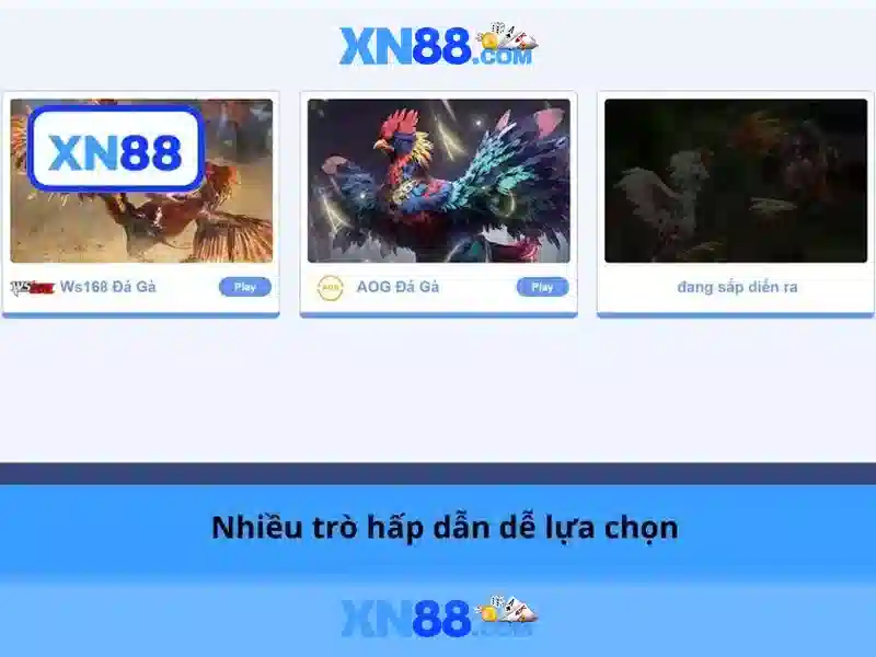 Giới thiệu về xn88