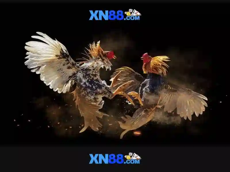 xn88: Giới thiệu và đánh giá nền tảng trực tuyến