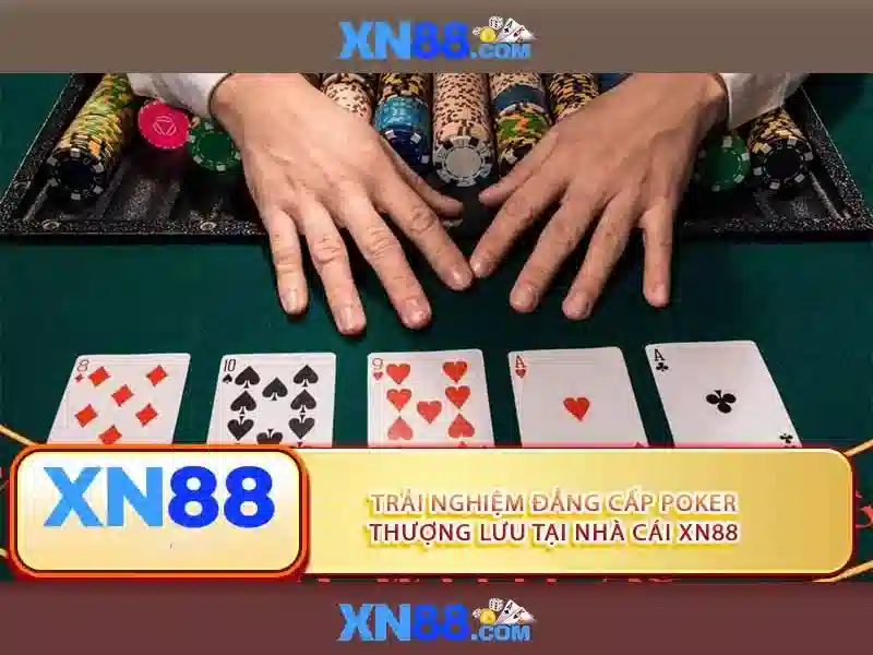 xn88: Tổng quan về nền tảng và dấu ấn của nó