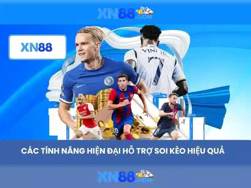 Khuyến nghị và kết luận