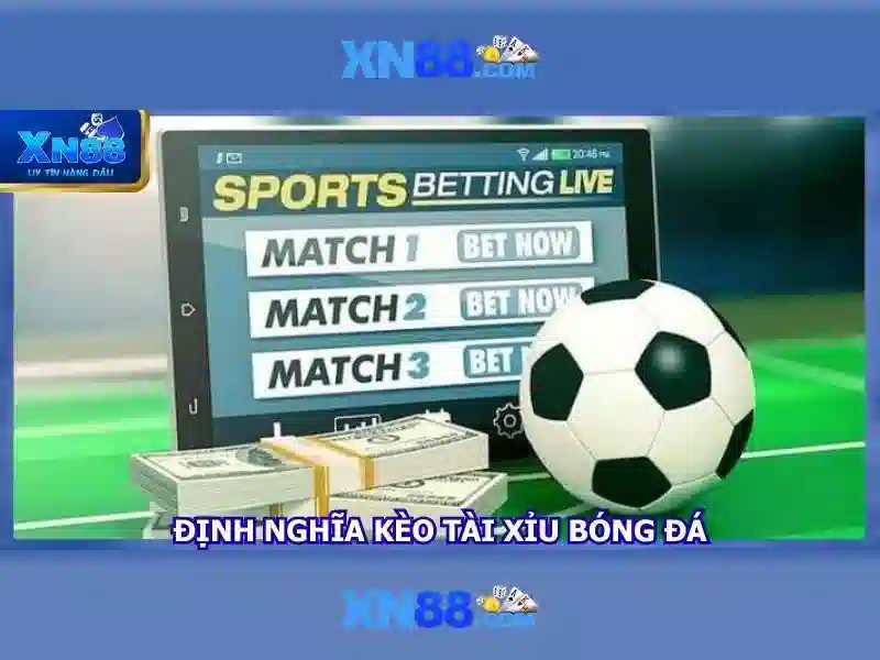 Nền tảng và giao diện người dùng