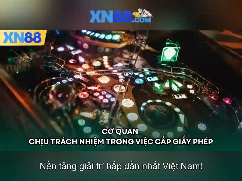Giao diện người dùng và chức năng