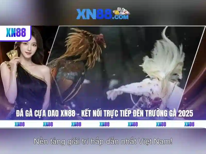 Lời khuyên và đánh giá\n<p><span style=