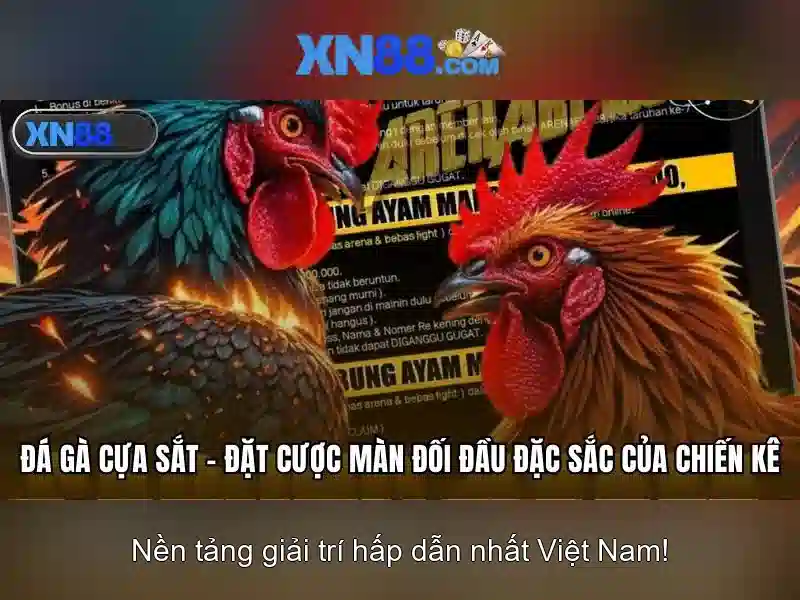 xn88: Nền tảng giải trí trực tuyến