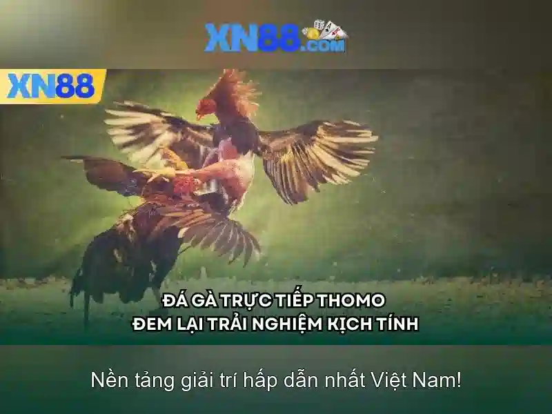 xn88 - Nền tảng giải trí trực tuyến và cộng đồng người chơi