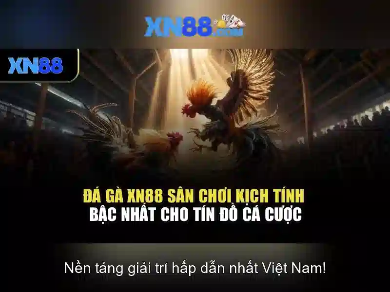 Chính sách thanh toán và rút tiền