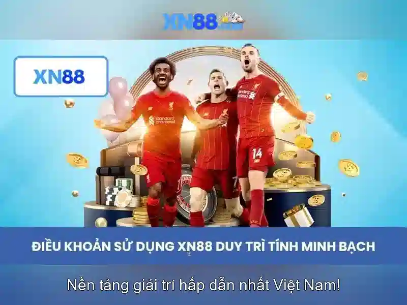 Kết luận và tương lai