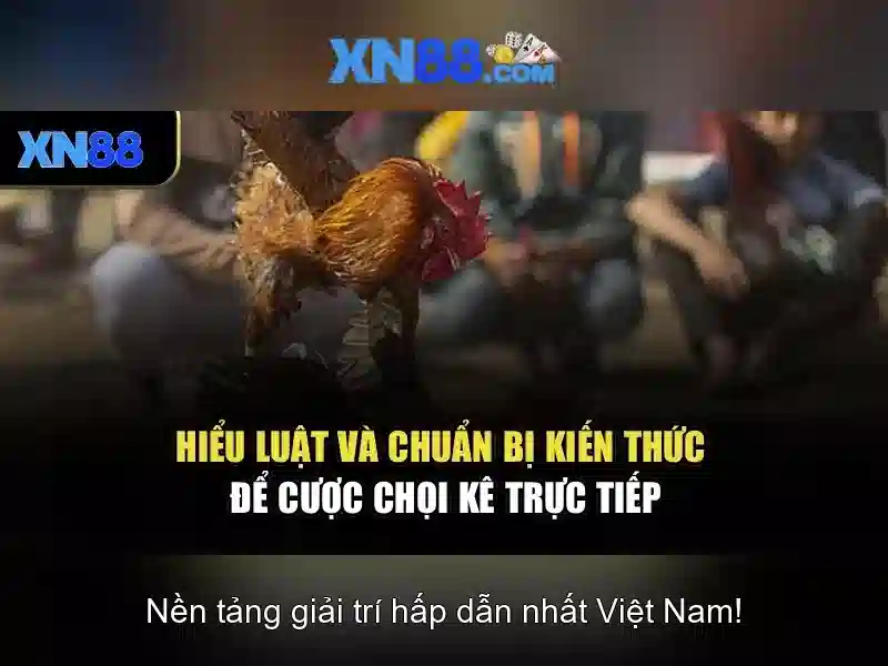 Khuyến mãi và hỗ trợ người chơi