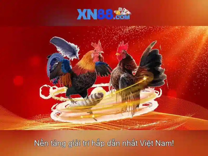 xn88 tải – Tổng quan chủ đề và giá trị cốt lõi