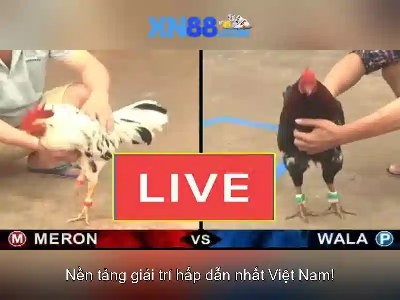 Tính năng và giao diện