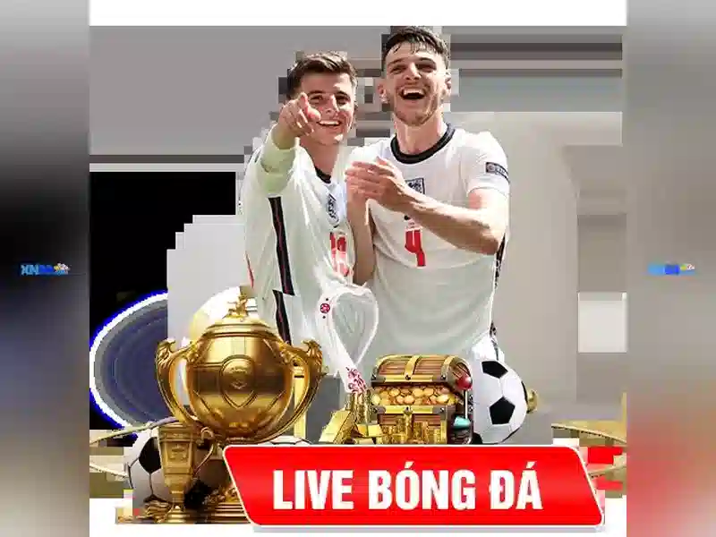 Cách tham gia và trải nghiệm