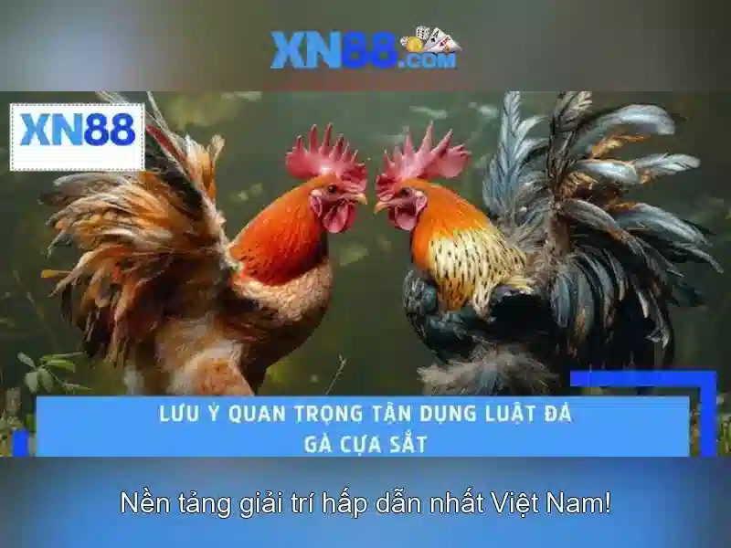 Số lượng trò chơi và tiện ích 