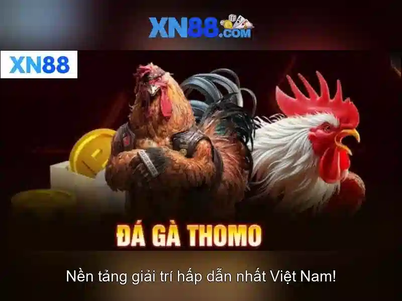 Trò chơi và trải nghiệm