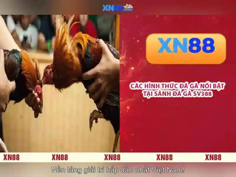Xn88 - Tổng quan và trải nghiệm người dùng