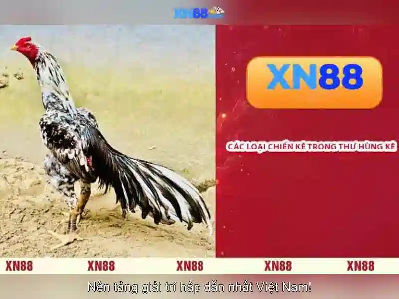 Lịch sử và nguồn gốc