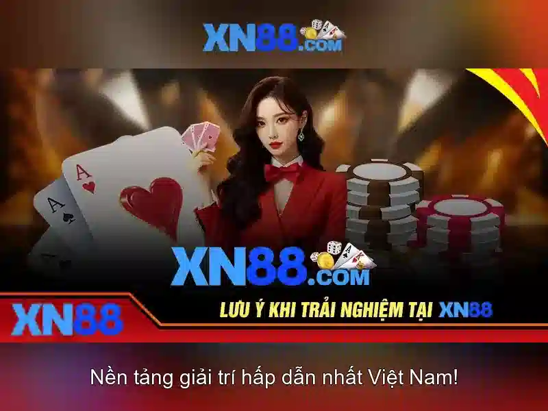 Kết luận về xn88