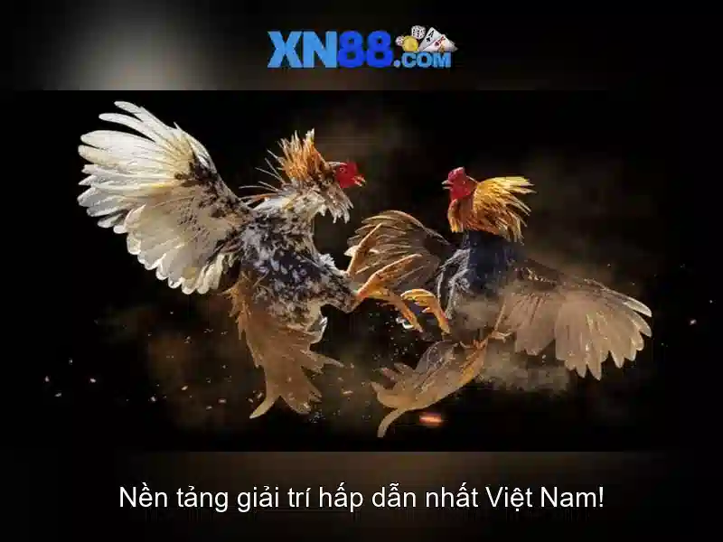 An toàn và bảo mật