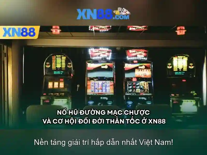 Đặc điểm nổi bật và lợi ích