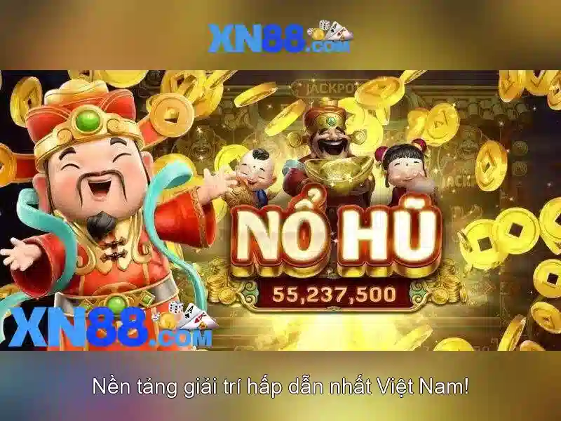 Hỗ trợ khách hàng và trải nghiệm người dùng