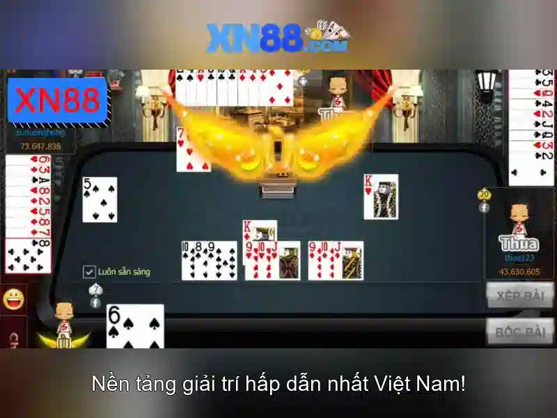 Giới thiệu về xn88