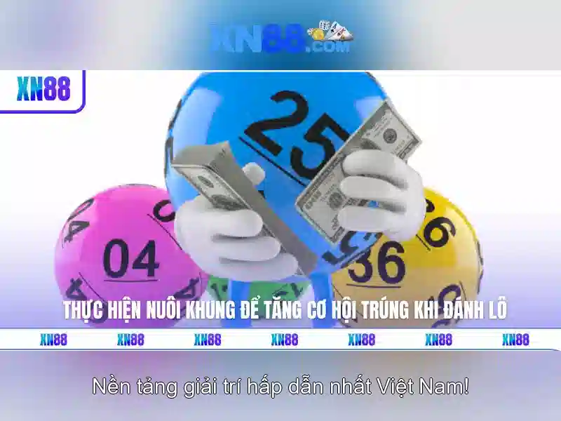 xn88: Đánh giá và trải nghiệm