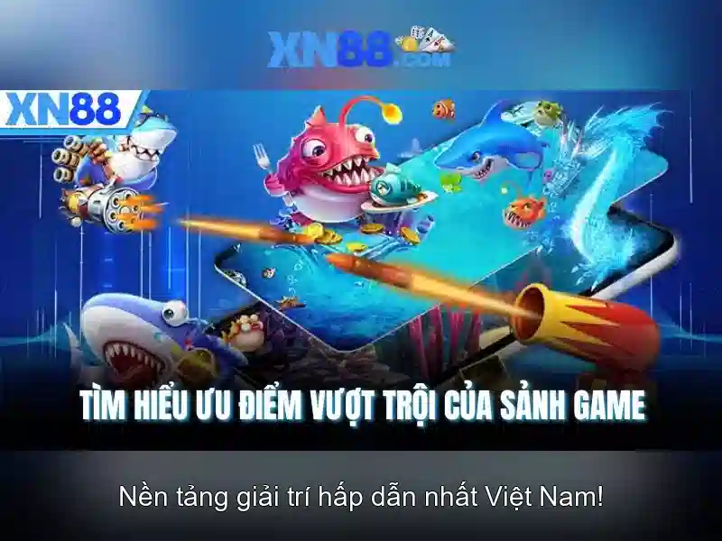 Các dịch vụ chính
