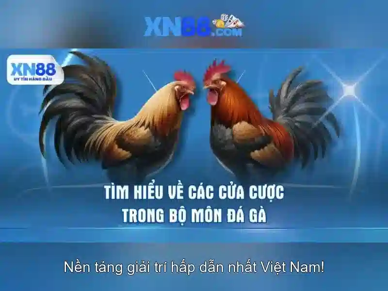 Giới thiệu về xn88