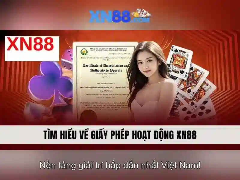 Hỗ trợ khách hàng và truy cập