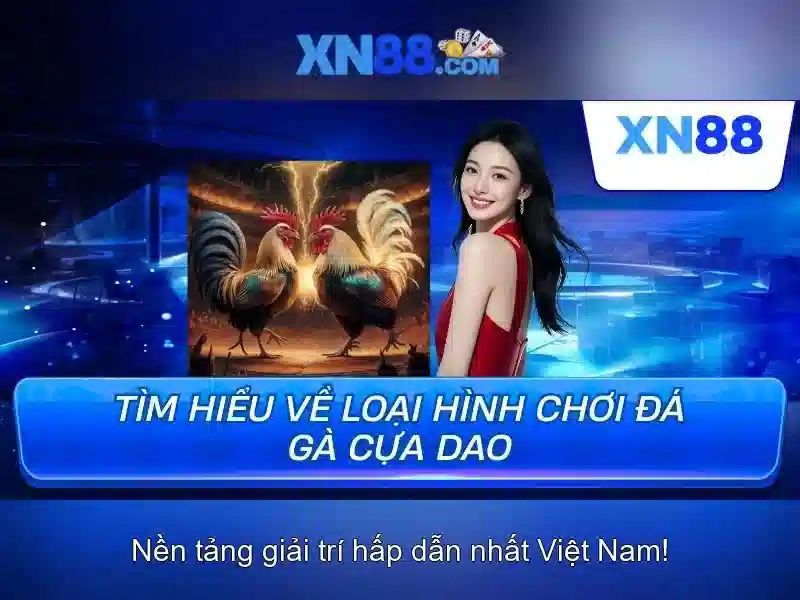 Hướng dẫn tham gia