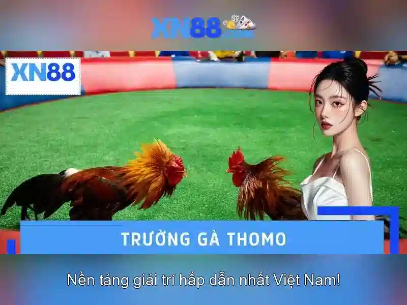 Khuyến mãi và thanh toán