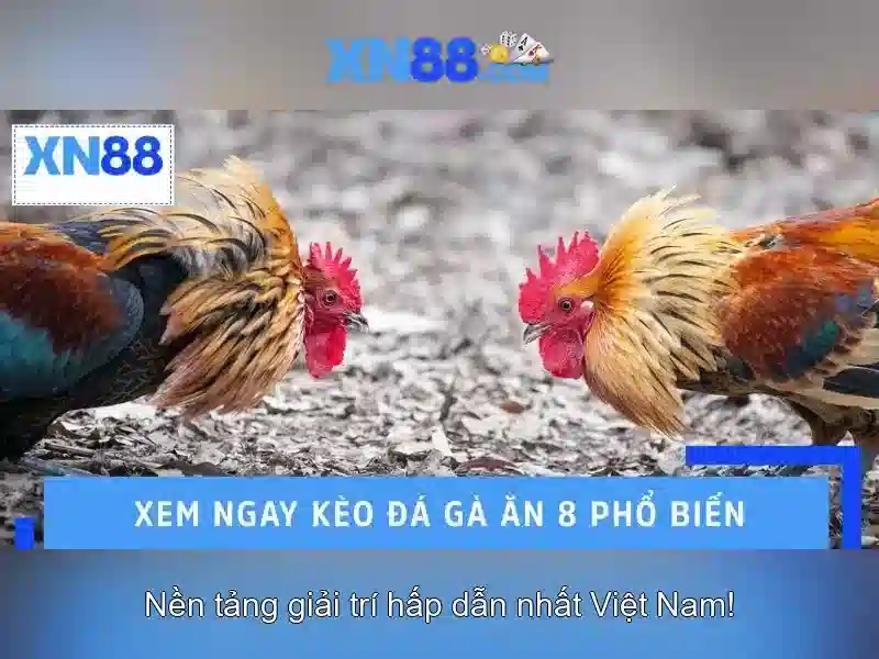 Hỗ trợ khách hàng và cộng đồng xn88